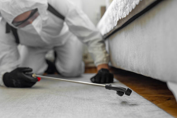Professional Mosquito Control technician working in Copperopolis, CA