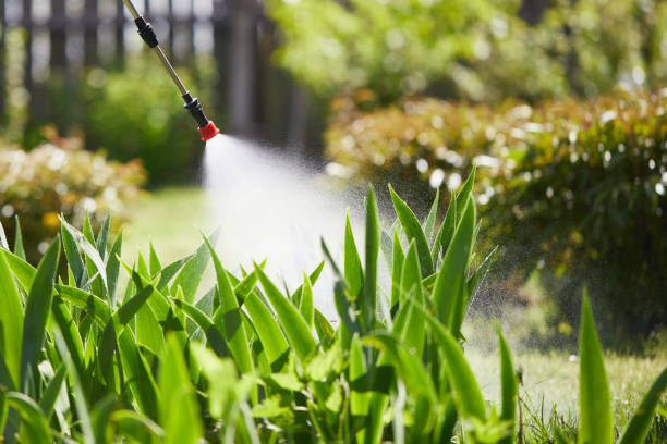 24/7 Emergency Mosquito Control experts in Copperopolis, CA
